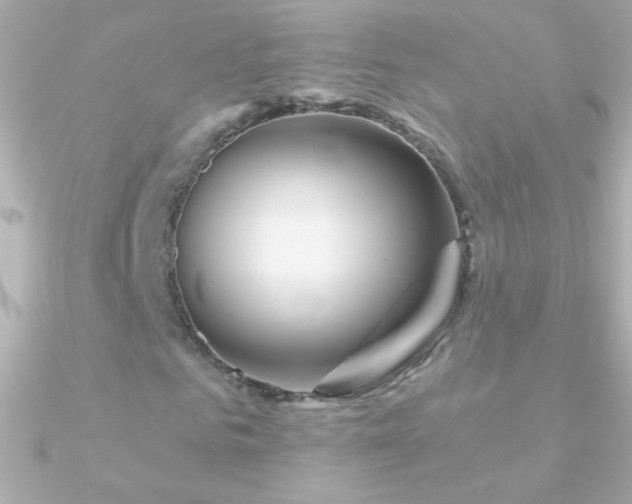 X0000090950961200708021333