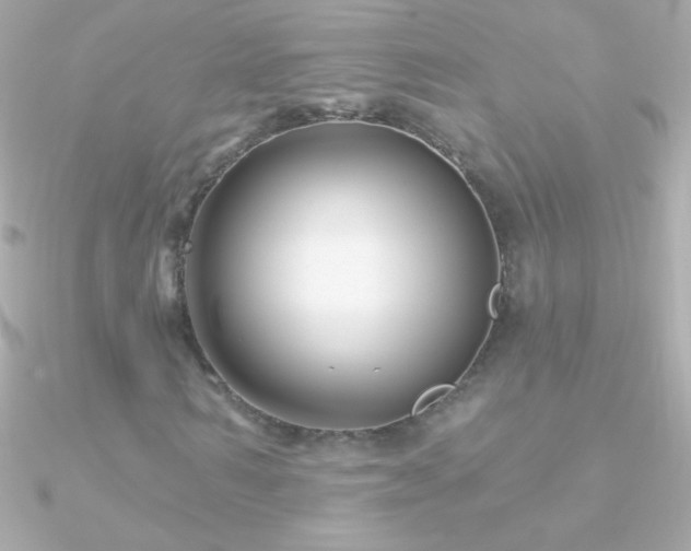 X0000090950962200708021333