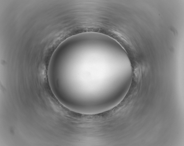 X0000090950963200708021333