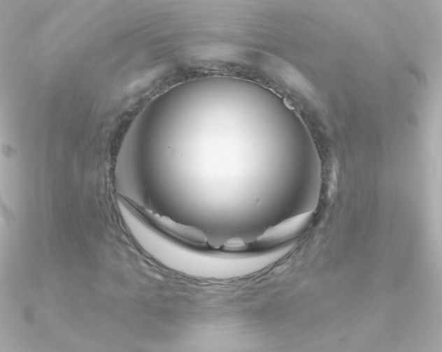 X0000090950965200708021333