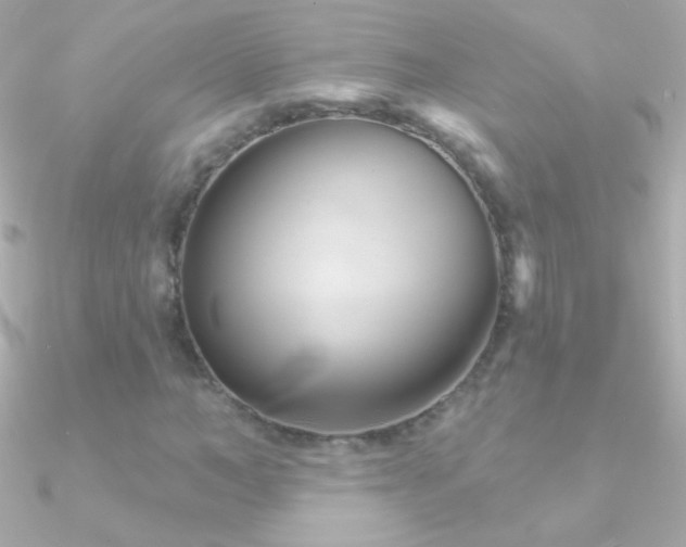 X0000090950966200708021333