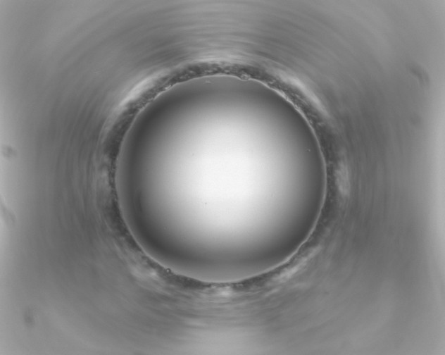 X0000090950968200708021333