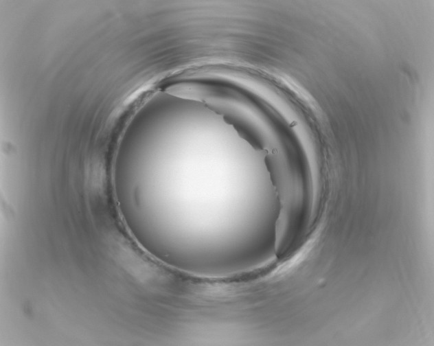 X0000090950969200708021333