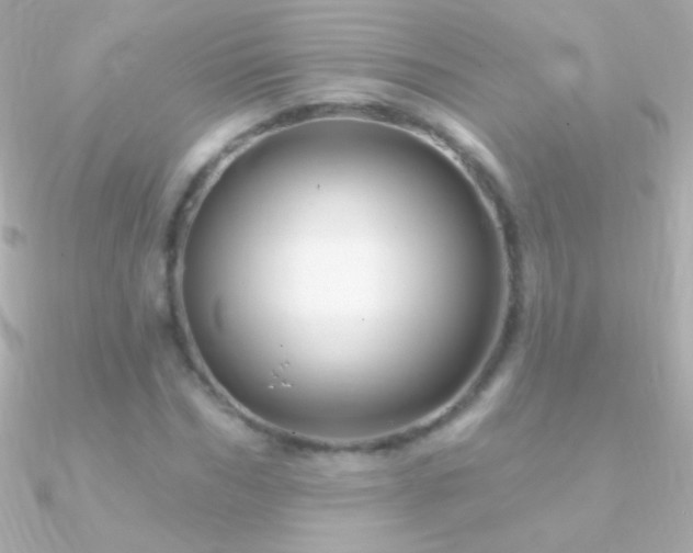 X0000090950970200708021333