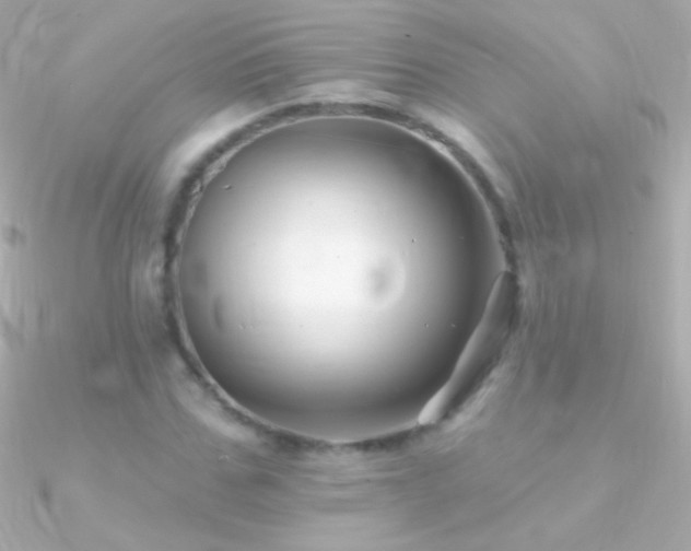 X0000090950971200708021333