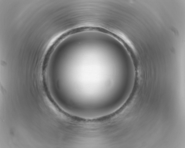X0000090950972200708021333