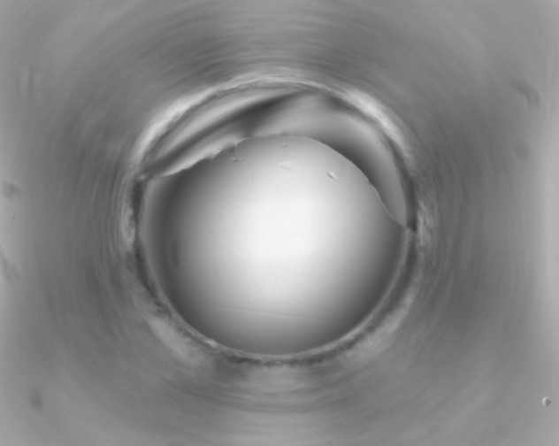 X0000090950973200708021333