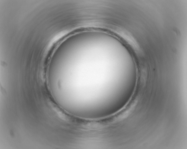 X0000090950974200708021333