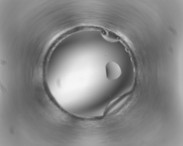 X0000090950976200708021333