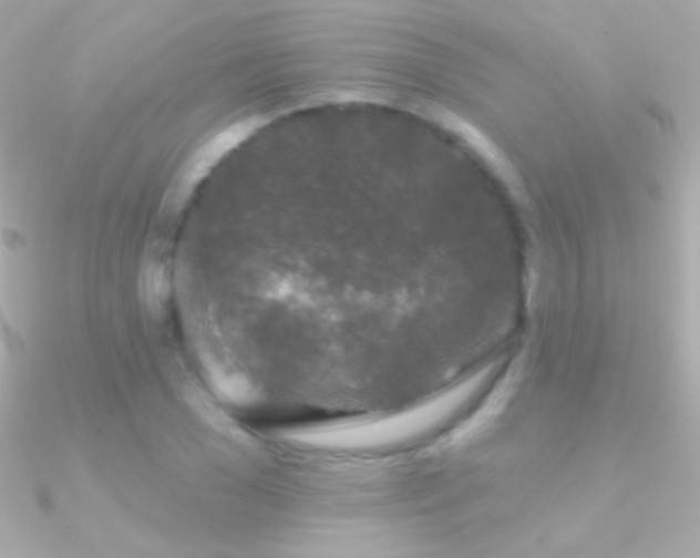X0000090950977200708021333