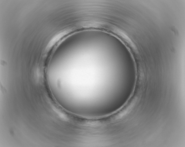 X0000090950978200708021333