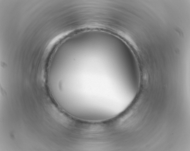 X0000090950979200708021333