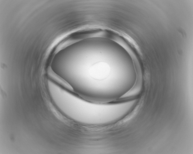 X0000090950981200708021333