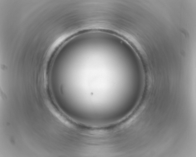 X0000090950982200708021333