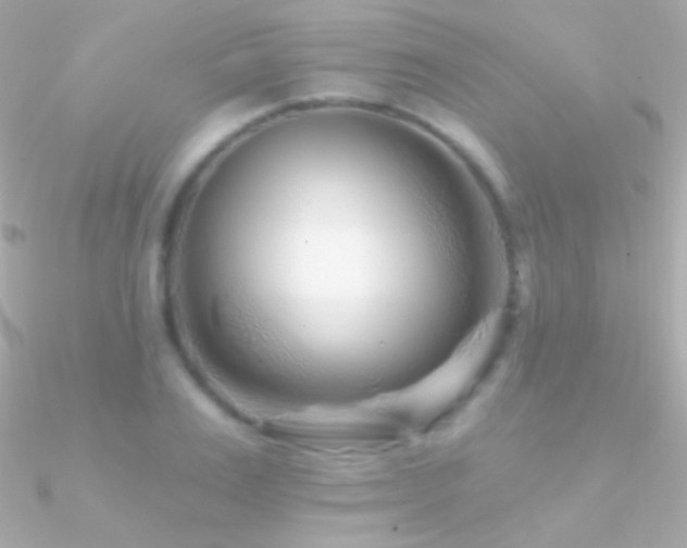 X0000090950983200708021333