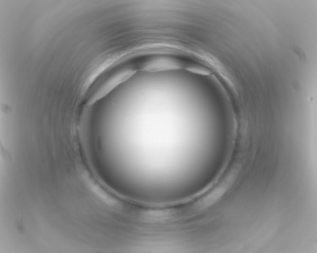X0000090950985200708021333