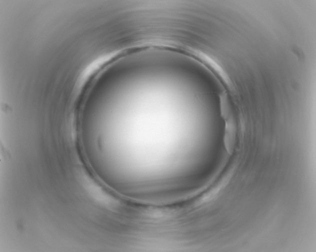 X0000090950987200708021333