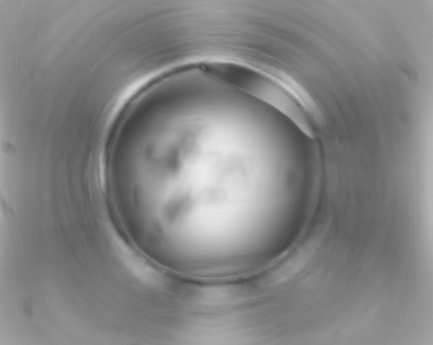 X0000090950988200708021333