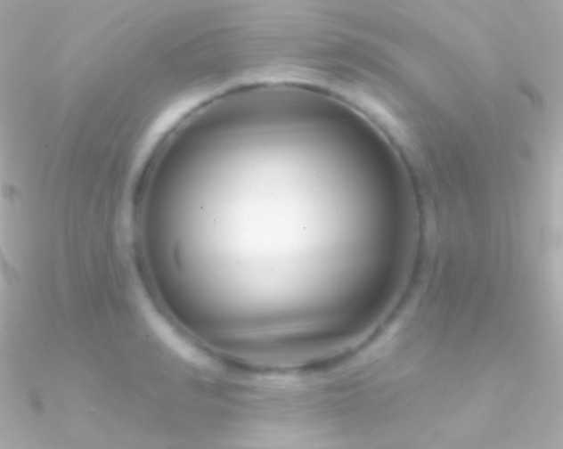 X0000090950990200708021333