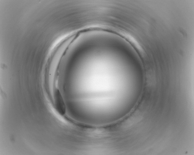X0000090950991200708021333