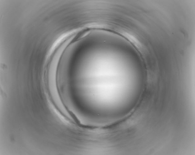 X0000090950992200708021333