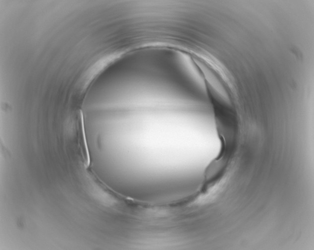 X0000090950993200708021333