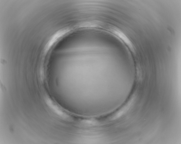 X0000090950994200708021333