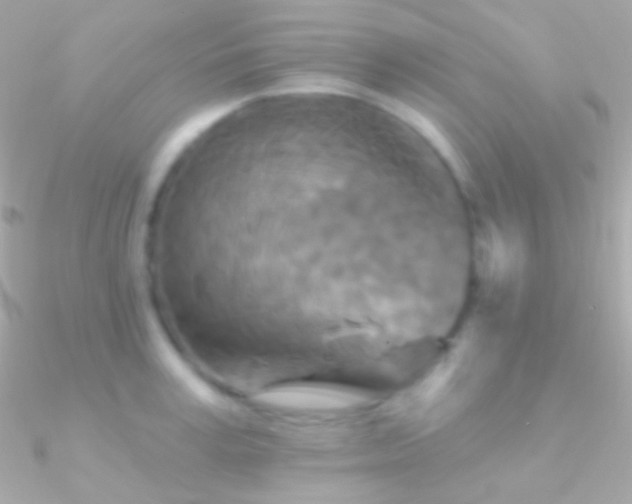 X0000090950995200708021333