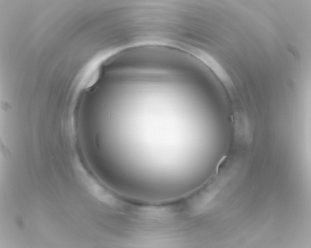 X0000090950996200708021333