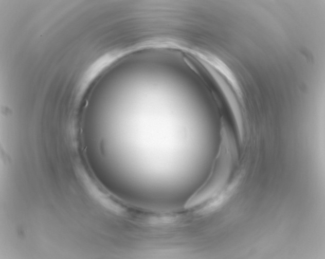 X0000090950997200708021333