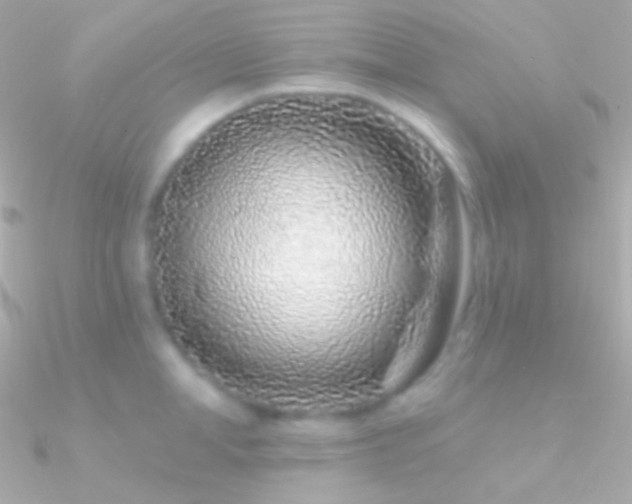 X0000090950998200708021333