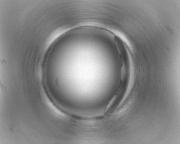 X0000090950999200708021333