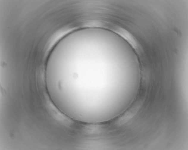 X0000090951000200708021333