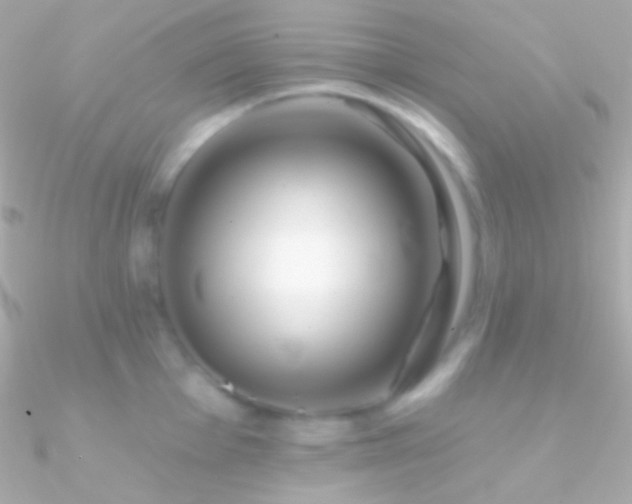 X0000090951001200708021333