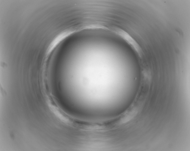 X0000090951002200708021333