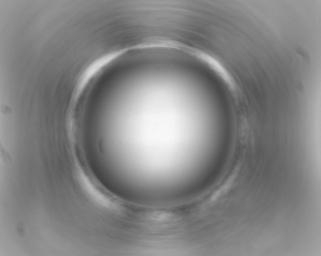 X0000090951003200708021333