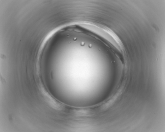 X0000090951004200708021333
