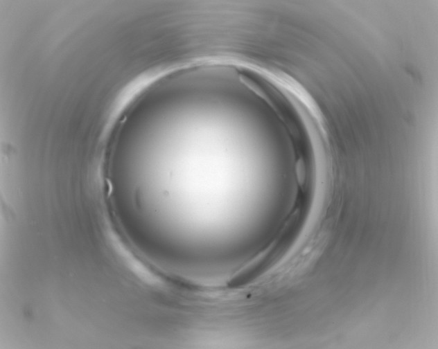 X0000090951005200708021333