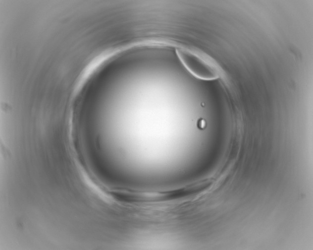 X0000090951006200708021333
