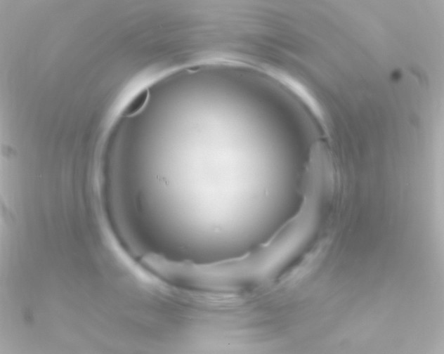 X0000090951007200708021333