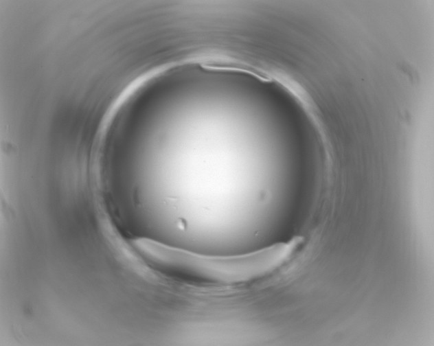 X0000090951008200708021333