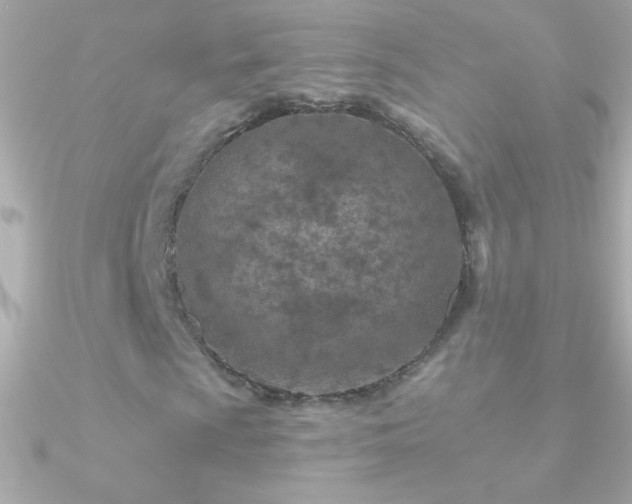 X0000090951009200708021332