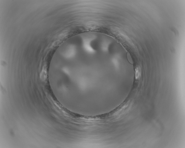 X0000090951011200708021332