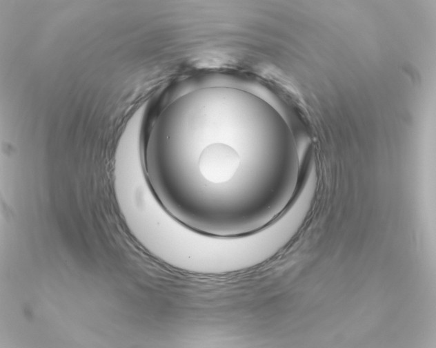 X0000090951012200708021332