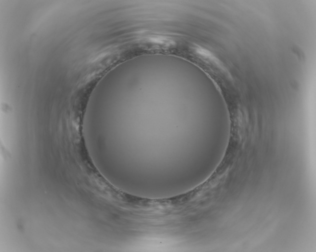 X0000090951013200708021332