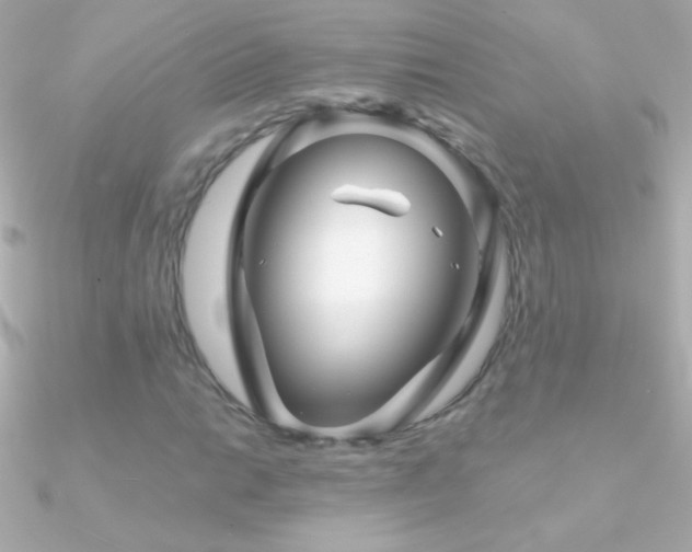 X0000090951014200708021332
