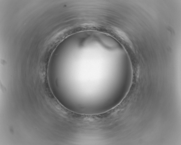 X0000090951015200708021332