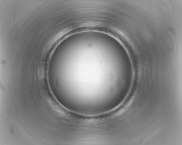 X0000090951017200708021332