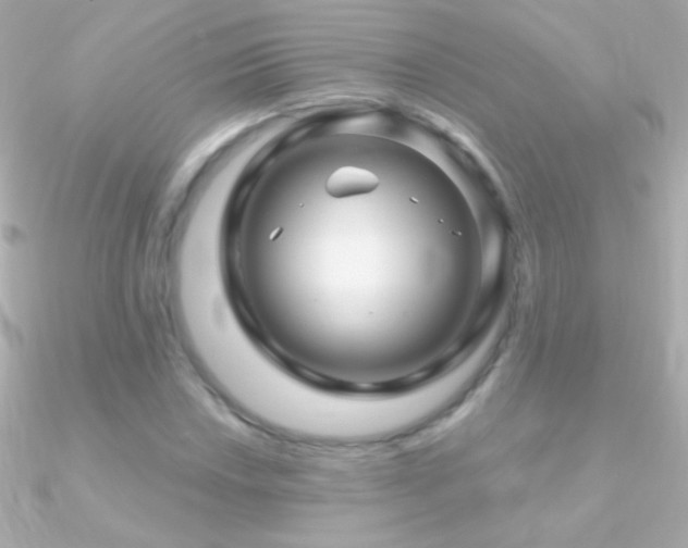 X0000090951018200708021332