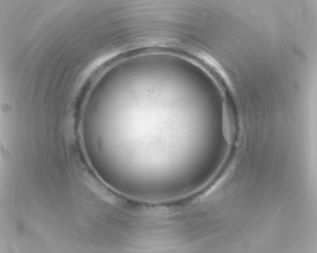 X0000090951019200708021332